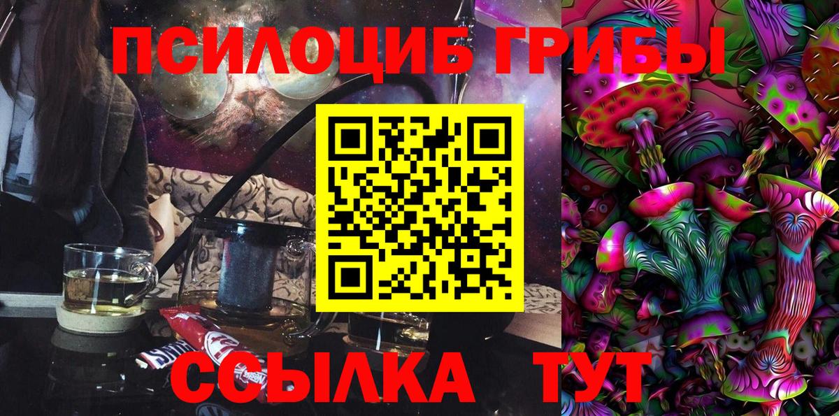 Псилоцибиновые грибы MAGIC MUSHROOMS  Вход с VPN  Сосновый Бор 