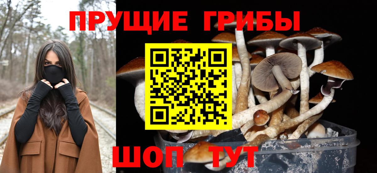 Галлюциногенные грибы MAGIC MUSHROOMS Сосновый Бор